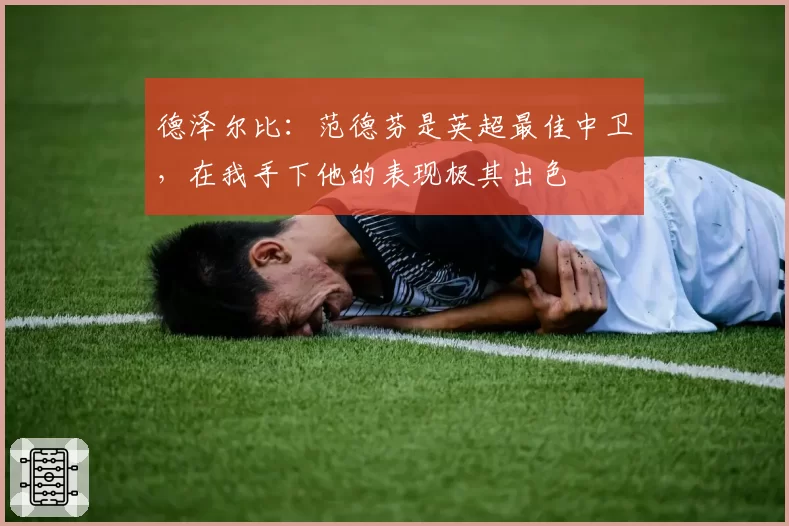 德泽尔比:范德芬是英超最佳中卫,在我手下他的表现极其出色