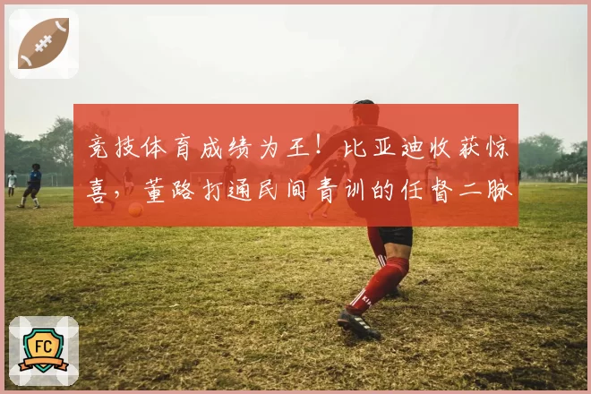 竞技体育成绩为王!比亚迪收获惊喜,董路打通民间青训的任督二脉
