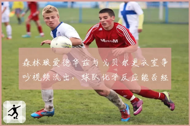 森林狼爱德华兹与戈贝尔更衣室争吵视频流出,球队化学反应能否经受季后赛考验?