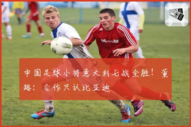 中国足球小将意大利七战全胜！董路：合作只认比亚迪