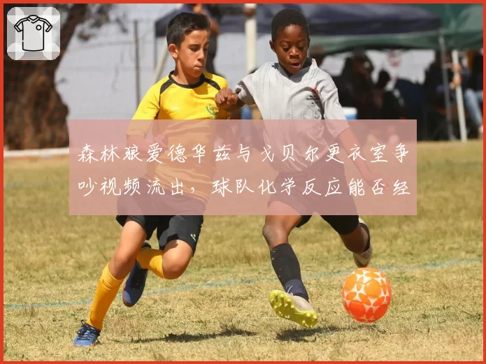 森林狼爱德华兹与戈贝尔更衣室争吵视频流出，球队化学反应能否经受季后赛考验？