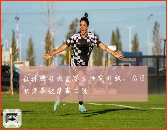 森林狼与掘金赛后冲突升级，戈贝尔挥拳被禁赛三场